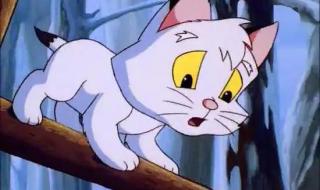 小贝流浪记全集 小贝流浪记全集