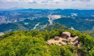 重阳节歌曲 重阳节歌曲