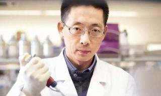 世界大学声誉排行榜 世界大学声誉排行榜