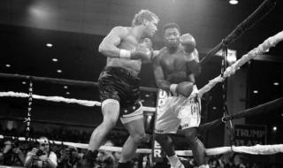 霍利菲尔德和刘易斯