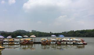 大夫山森林公园门票 大夫山森林公园门票