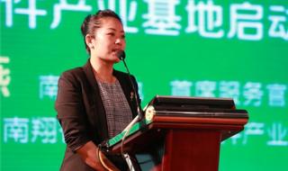 嘉定区南翔镇有几所初中 上海市嘉定区南翔镇