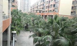 东莞有哪些五星级酒店 东莞海悦花园大酒店