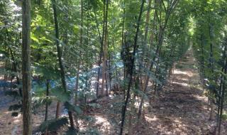 衮州与兖州读音的区别 兖州十六中