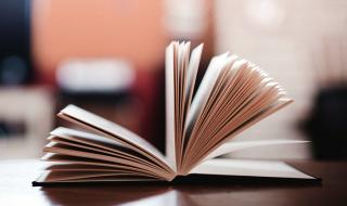 投影仪机器背后有一个MiniUSB接口,接口的作用是什么 api支付接口