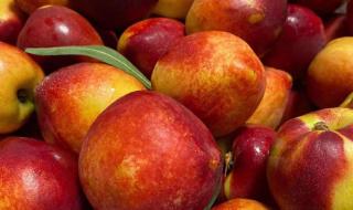 一件代发货 一件代发货