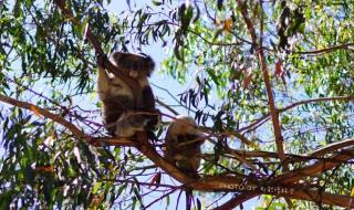 仅有14人住的中国海岛 仅有14人住的中国海岛