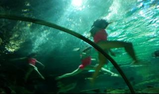 富国海底世界是国企吗 富国海底世界好玩吗