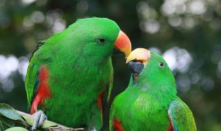 长隆野生动物园可以带多少瓶水 长隆野生动物园团购