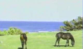 我还是爱着你 我还是爱着你