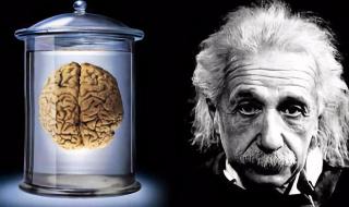 人的洞察力和智商可以提高么 智商可以后天提高吗