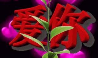 情人节快乐图片 情人节快乐图片