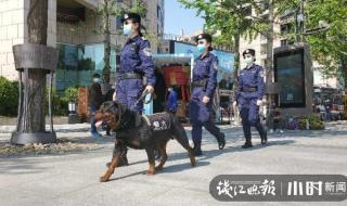 五一节后上班时间 五一节后上班时间