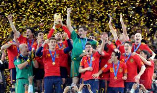 2010世界杯所有国家的成绩 10年世界杯上